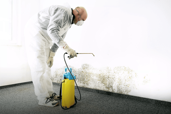 man removing mould