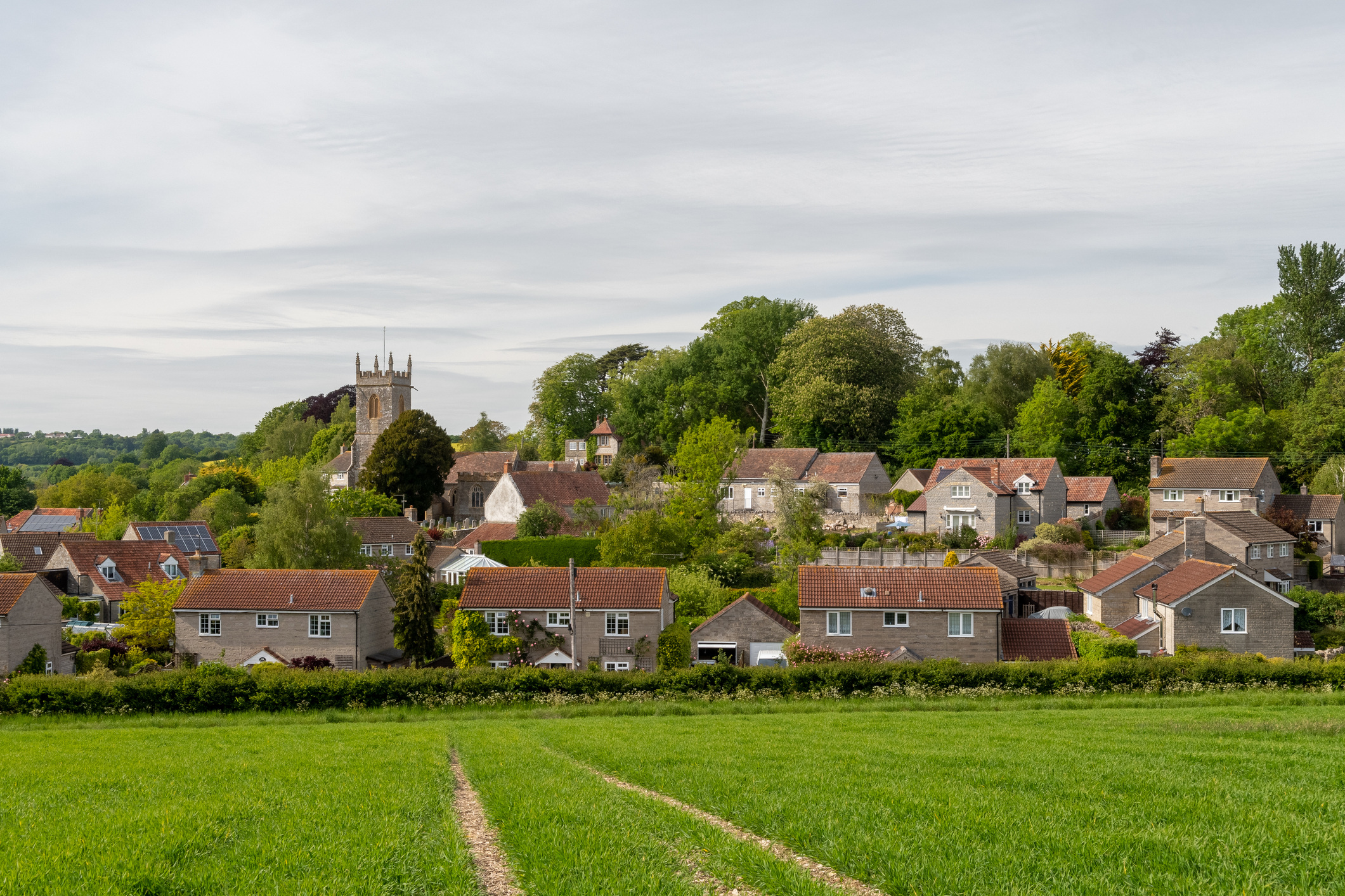 Stock image of housing estate behind field